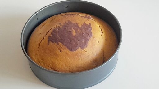 Mango chocolate marble cake